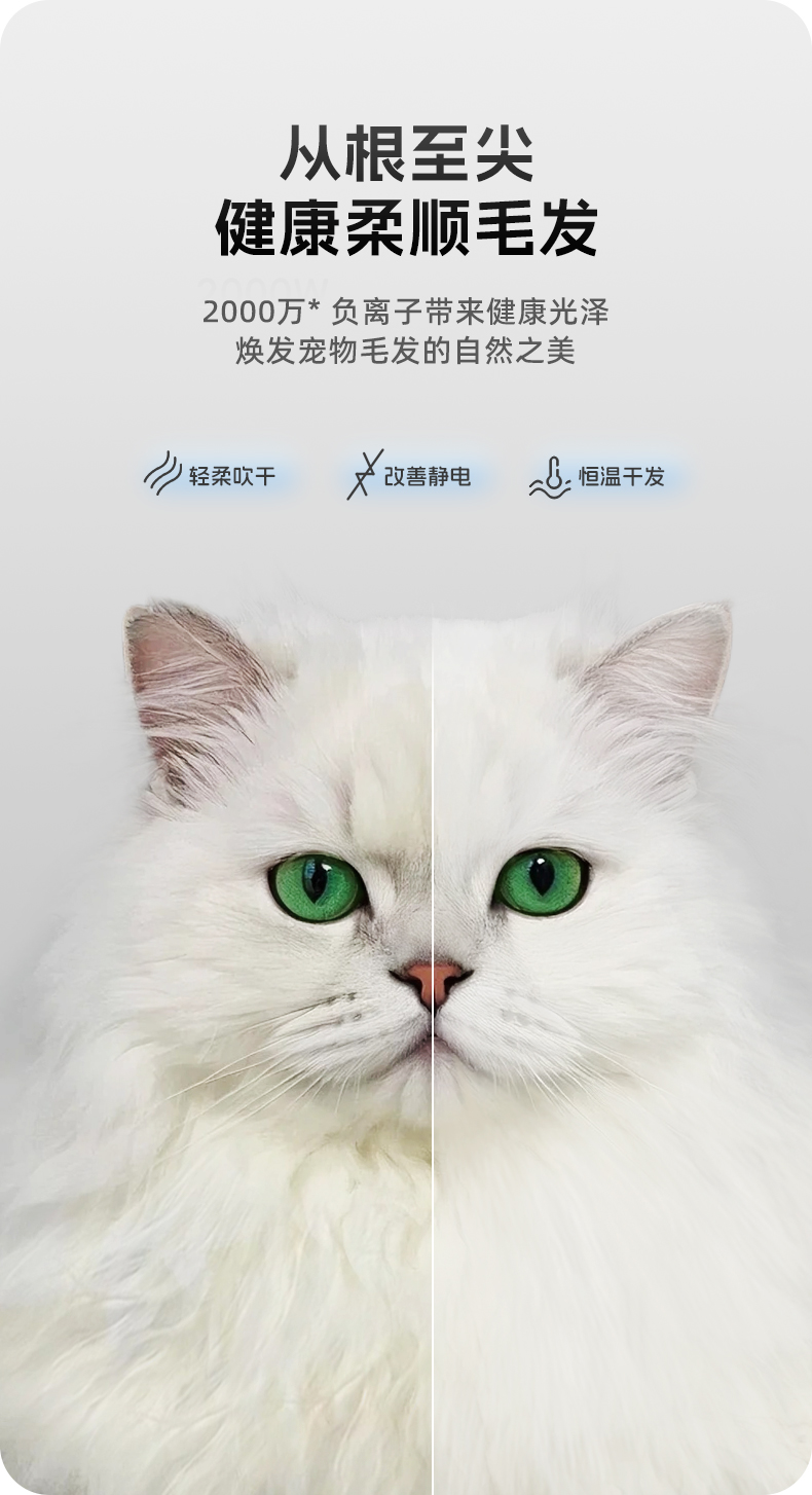 详情页